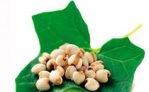 治療牛皮癬偏方 快快收藏起來吧！