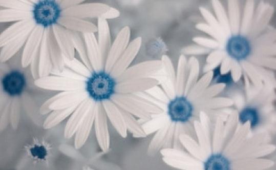 皮膚粗糙毛孔大怎么辦?