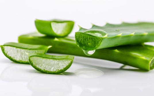 蘆薈的美容功效:蘆薈如何美容?