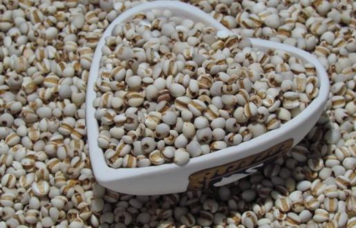 薏米對(duì)肌膚的好處:薏米助你美白!