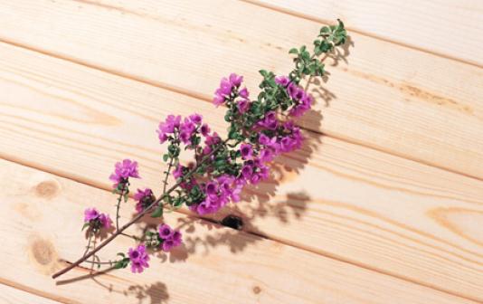 男生也要瘦臉?男生瘦臉的方法