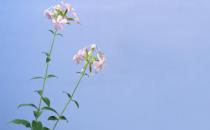 有雙下巴？教你快速消除雙下巴！