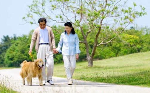 脾胃濕熱的癥狀-脾胃濕熱喝什么茶?