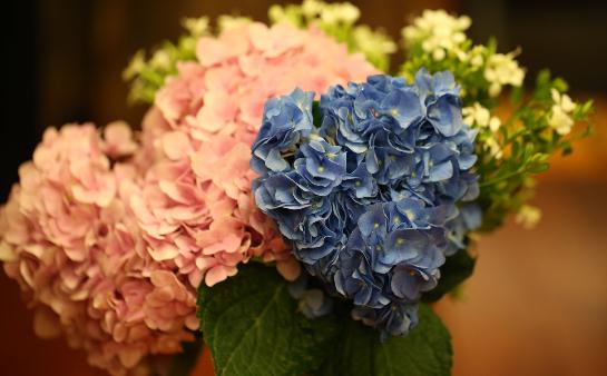 女人怕冷怎么調(diào)節(jié)？畏寒食譜推薦