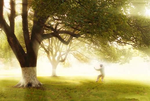 這些健康養(yǎng)生金句真的科學(xué)嗎?