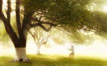 這些健康養生金句真的科學嗎？