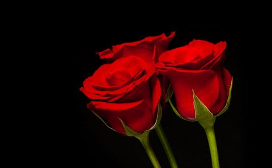 女性氣色不好怎么辦?紅石榴來(lái)排毒