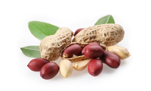 低脂食譜是怎樣的？低脂更健康哦！