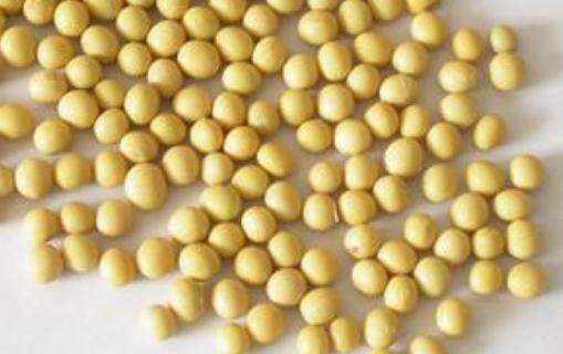 大腦需要什么營養素?吃什么能補腦?