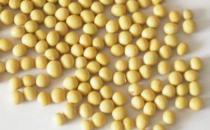 大腦需要什么營(yíng)養(yǎng)素？吃什么能補(bǔ)腦？