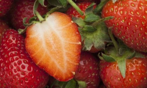 吃什么食物能夠防癌?苦瓜防癌一級棒