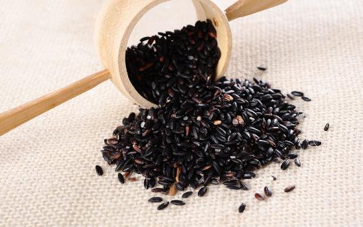 秋季吃什么食物能美容？最養顏的是薏米