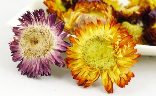 菊花美容養(yǎng)顏-菊花怎么吃最好？