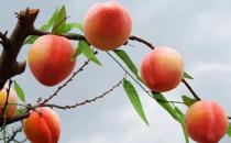 吃點(diǎn)“難吃”的食物也能讓你排毒哦！