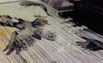 永春紙織畫的魅力