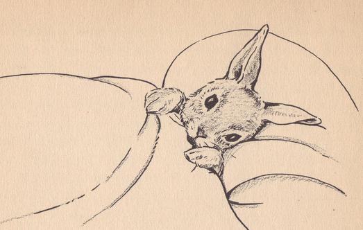 有這些癥狀證明你睡眠不足!