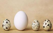 鵪鶉蛋和雞蛋有什么區別？哪個營養價值更高？