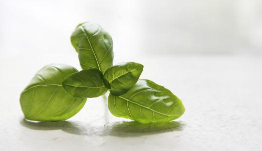 考前給孩子吃什么好？考前只吃素好嗎？