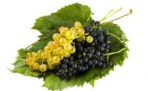 吃什么可以預(yù)防感冒？蘿卜緩解感冒