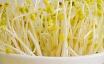 黃豆芽和綠豆芽哪個(gè)營(yíng)養(yǎng)價(jià)值更高？