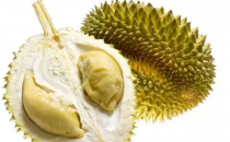 榴蓮吃不完怎么辦 應如何保存