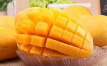 月經期間可以吃芒果嗎？