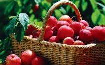 吃什么水果可以對付皮膚干燥？