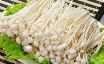 金針菇有什么養生功效？食用時有什么禁忌？