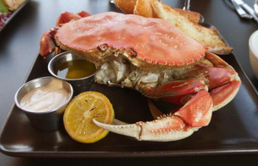 孕婦不能吃什么肉食?孕婦禁食蛙肉