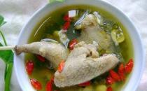 養生鴿子湯 鴿子湯的營養功效