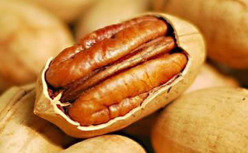 碧根果_營養(yǎng)價值,功效與作用,產(chǎn)地,選購,食用方法,儲存,吃法 碧根果_營養(yǎng)價值,功效與作用,產(chǎn)地,選購,食用方法,儲存,吃法