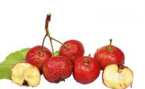山楂功效強大 推薦4款食療方