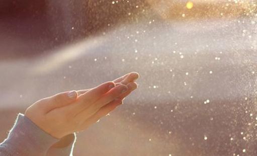 2016年屬狗人的運(yùn)程