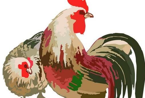 屬雞人的2016年運程