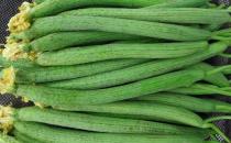 絲瓜的10個養生功效