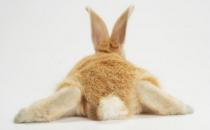 ?陰險小人面相，認準了