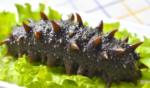 海參有什么功效?吃海參的注意事項(xiàng)