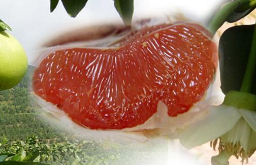 紅心柚子有什么獨特功效？怎么挑選柚子？