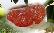 紅心柚子有什么獨特功效？怎么挑選柚子？