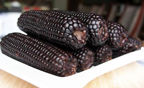 女人想要氣色好就吃黑色食物