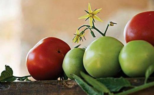 維生素C有助幫你從黑變到白!