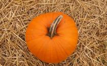 上班族秋季要如何養胃