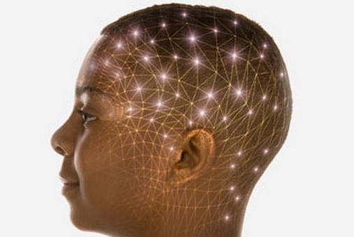 屬雞的人屬于什么天才