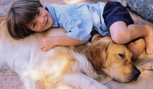 屬羊的人如何與同事相處