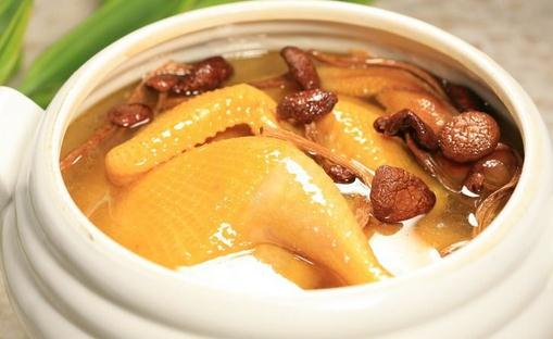 老母雞湯如何燉煮才最美味?