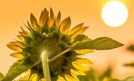 女人戀愛中的秘密武器:讓他撒嬌