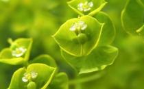 多給他一點(diǎn)尊重他會更愛你！