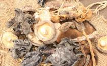 泡發干貨 四大控制水溫秘籍