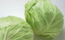 冬季重視飲食補養 如何進補？