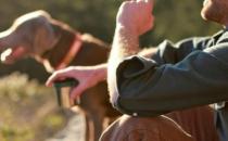 為何結婚后沒有戀愛的激情了？